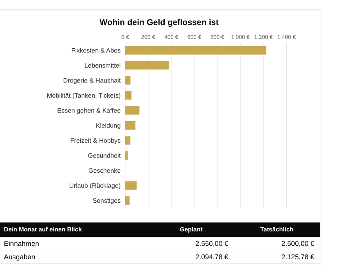 Budget-Vorlage mit Grafik